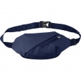 Shoulder or Waist Bag 4