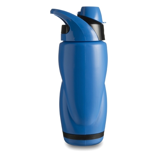 Bottle With 650ml Capacity | UK Corporate Gifts