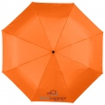 Alex 21.5 Foldable Auto Open/Close Umbrella" 3