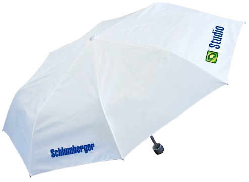 Foldable Umbrella - All Brands