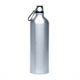 Pollock Glossy 1litre Sports Bottle 5