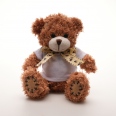 Medium Patched Paw Teddy 6