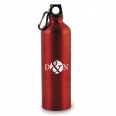 Pollock Glossy 1litre Sports Bottle 2