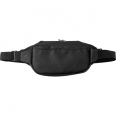 Shoulder or Waist Bag 2