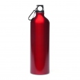 Pollock Glossy 1litre Sports Bottle 3