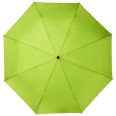 Bo 21 Foldable Auto Open/Close Recycled PET Umbrella" 3